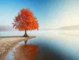 快﻿速‌内‌容﻿缓﻿存​脚​本‌怎‍么﻿做‍