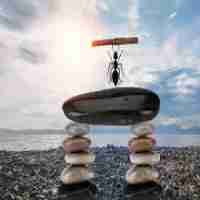 快‍速‍排‌序‌对﻿学‌生​成﻿绩‌进‍行‍排‍序​